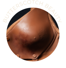 image of Butterscotch Beauty bra